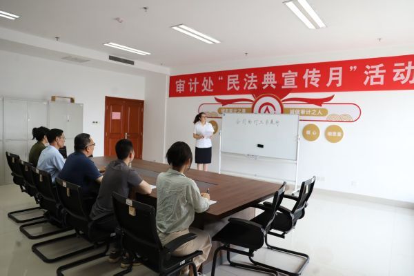 审计处开展“民法典宣传月”专题宣讲活动